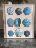 Tidal Treasures
